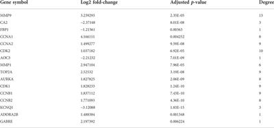 Network pharmacology- and molecular docking-based approaches to unveil the pharmacological mechanisms of dihydroartemisinin against esophageal carcinoma